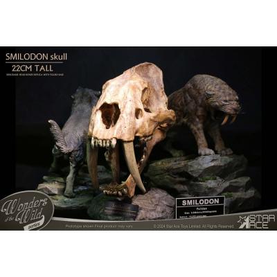 Wonders of the Wild Series Estatua Smilodon Skull Fossil 22 cm