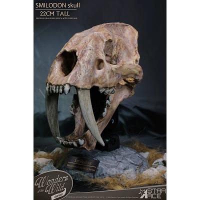 Wonders of the Wild Series Estatua Smilodon Skull Fossil 22 cm