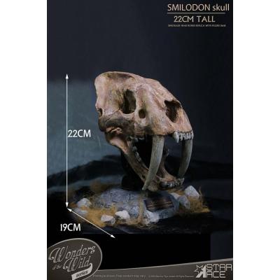 Wonders of the Wild Series Estatua Smilodon Skull Fossil 22 cm