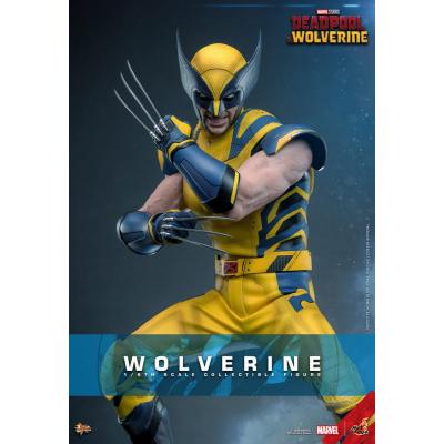 Deadpool & Wolverine Movie Masterpiece Figura 1/6 Wolverine 31 cm