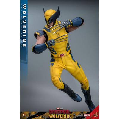 Deadpool & Wolverine Movie Masterpiece Figura 1/6 Wolverine 31 cm