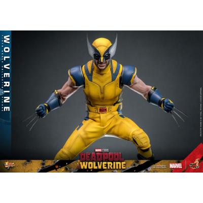 Deadpool & Wolverine Movie Masterpiece Figura 1/6 Wolverine 31 cm