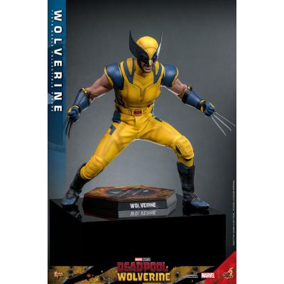 Deadpool & Wolverine Movie Masterpiece Figura 1/6 Wolverine 31 cm