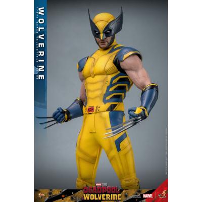 Deadpool & Wolverine Movie Masterpiece Figura 1/6 Wolverine 31 cm