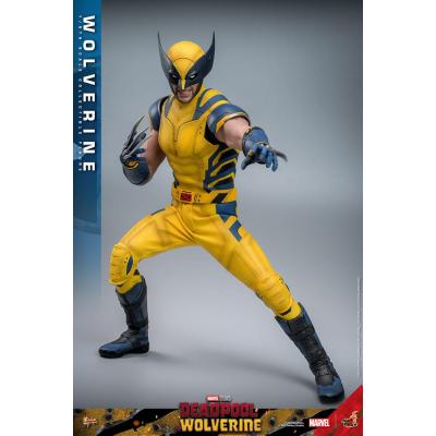 Deadpool & Wolverine Movie Masterpiece Figura 1/6 Wolverine 31 cm