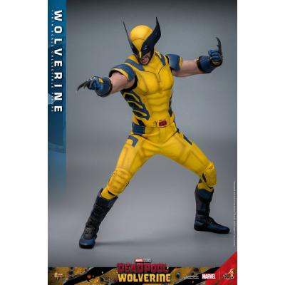 Deadpool & Wolverine Movie Masterpiece Figura 1/6 Wolverine 31 cm