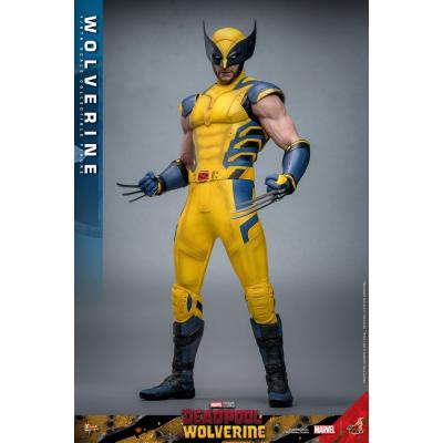 Deadpool & Wolverine Movie Masterpiece Figura 1/6 Wolverine 31 cm