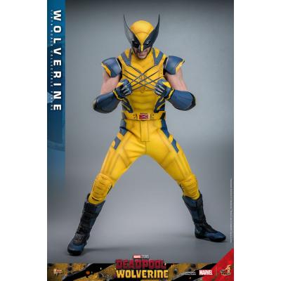 Deadpool & Wolverine Movie Masterpiece Figura 1/6 Wolverine 31 cm