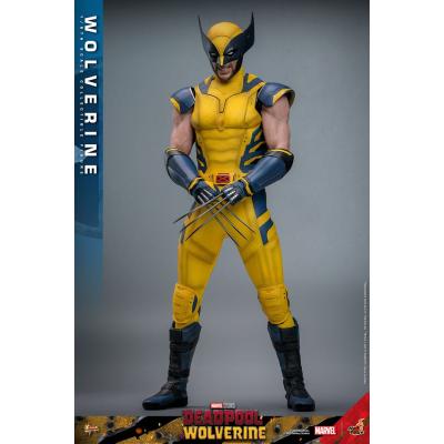 Deadpool & Wolverine Movie Masterpiece Figura 1/6 Wolverine 31 cm