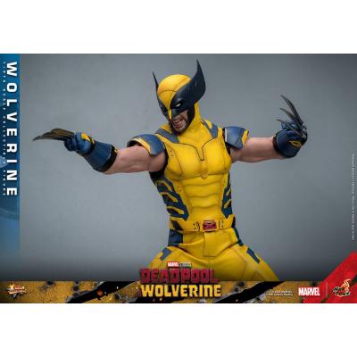 Deadpool & Wolverine Movie Masterpiece Figura 1/6 Wolverine 31 cm