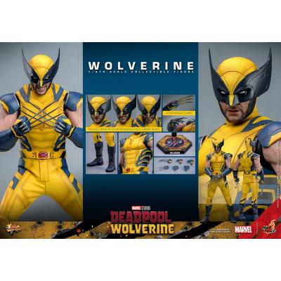 Deadpool & Wolverine Movie Masterpiece Figura 1/6 Wolverine 31 cm