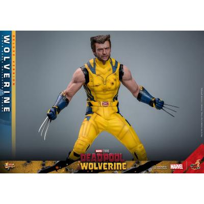 Deadpool & Wolverine Movie Masterpiece Figura 1/6 Wolverine (Deluxe Version) 31 cm