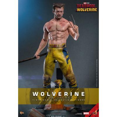 Deadpool & Wolverine Movie Masterpiece Figura 1/6 Wolverine (TVA Jacket Version) 31 cm