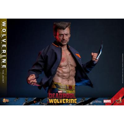 Deadpool & Wolverine Movie Masterpiece Figura 1/6 Wolverine (TVA Jacket Version) 31 cm