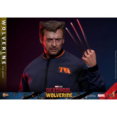 Deadpool & Wolverine Movie Masterpiece Figura 1/6 Wolverine (TVA Jacket Version) 31 cm