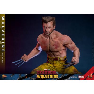 Deadpool & Wolverine Movie Masterpiece Figura 1/6 Wolverine (TVA Jacket Version) 31 cm