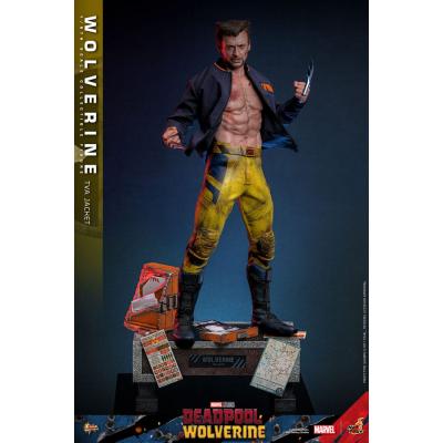Deadpool & Wolverine Movie Masterpiece Figura 1/6 Wolverine (TVA Jacket Version) 31 cm