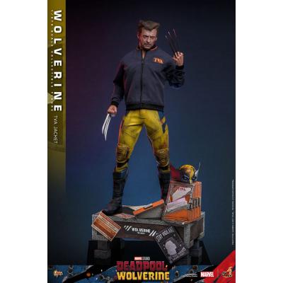 Deadpool & Wolverine Movie Masterpiece Figura 1/6 Wolverine (TVA Jacket Version) 31 cm