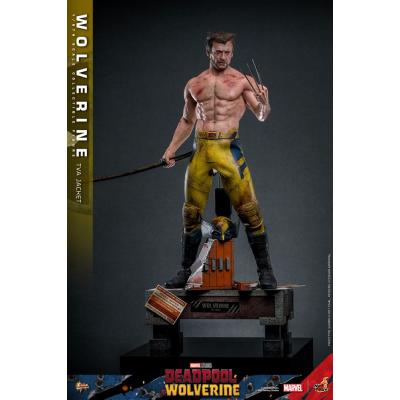 Deadpool & Wolverine Movie Masterpiece Figura 1/6 Wolverine (TVA Jacket Version) 31 cm