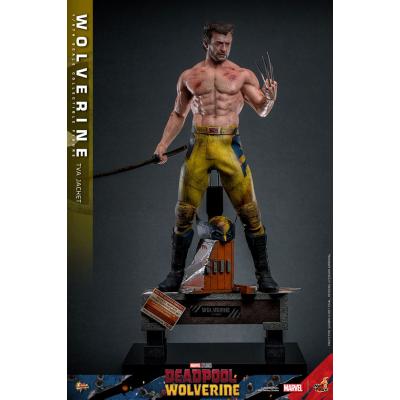 Deadpool & Wolverine Movie Masterpiece Figura 1/6 Wolverine (TVA Jacket Version) 31 cm
