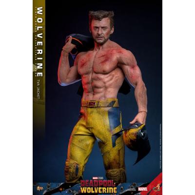 Deadpool & Wolverine Movie Masterpiece Figura 1/6 Wolverine (TVA Jacket Version) 31 cm