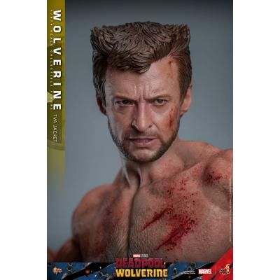 Deadpool & Wolverine Movie Masterpiece Figura 1/6 Wolverine (TVA Jacket Version) 31 cm
