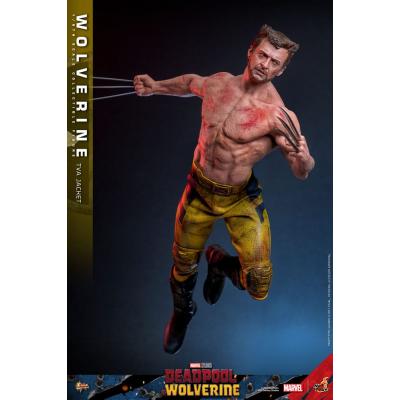 Deadpool & Wolverine Movie Masterpiece Figura 1/6 Wolverine (TVA Jacket Version) 31 cm