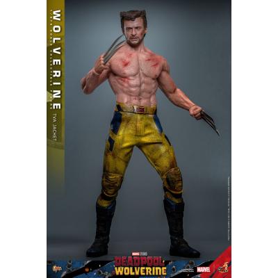 Deadpool & Wolverine Movie Masterpiece Figura 1/6 Wolverine (TVA Jacket Version) 31 cm