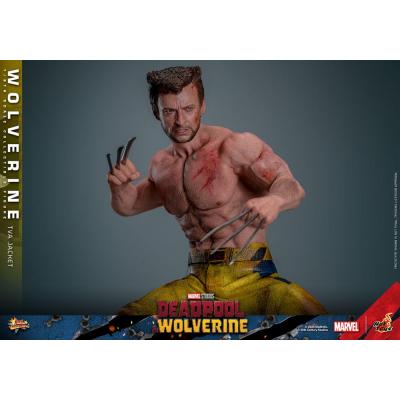 Deadpool & Wolverine Movie Masterpiece Figura 1/6 Wolverine (TVA Jacket Version) 31 cm