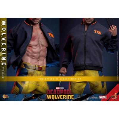 Deadpool & Wolverine Movie Masterpiece Figura 1/6 Wolverine (TVA Jacket Version) 31 cm