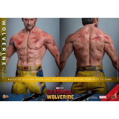 Deadpool & Wolverine Movie Masterpiece Figura 1/6 Wolverine (TVA Jacket Version) 31 cm