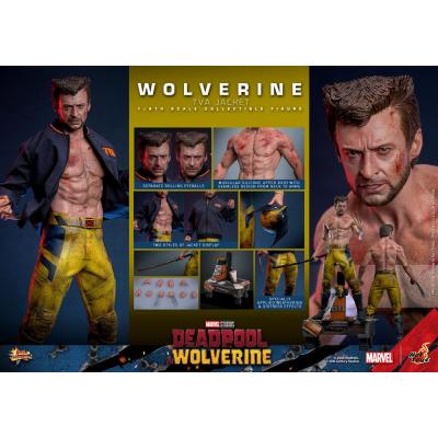 Deadpool & Wolverine Movie Masterpiece Figura 1/6 Wolverine (TVA Jacket Version) 31 cm
