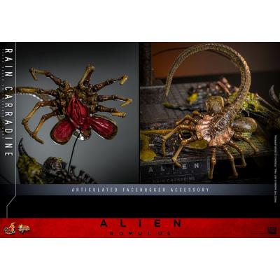 Alien: Romulus Figura Movie Masterpiece 1/6 Rain Carradine 26 cm