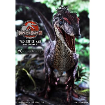 Jurassic Park III Estatua Legacy Museum Collection 1/6 Velociraptor Male Bonus Version 40 cm