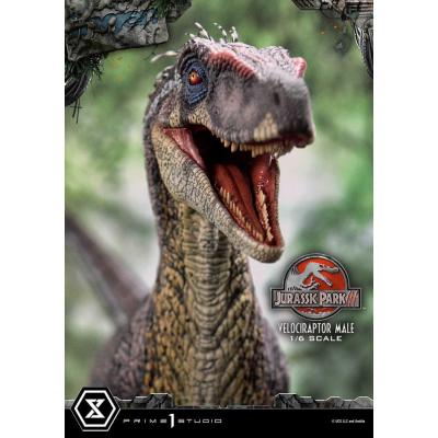Jurassic Park III Estatua Legacy Museum Collection 1/6 Velociraptor Male Bonus Version 40 cm