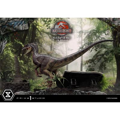 Jurassic Park III Estatua Legacy Museum Collection 1/6 Velociraptor Male Bonus Version 40 cm