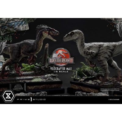 Jurassic Park III Estatua Legacy Museum Collection 1/6 Velociraptor Male Bonus Version 40 cm