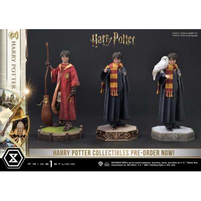 Harry Potter Estatua Prime Collectibles 1/6 Harry Potter 28 cm