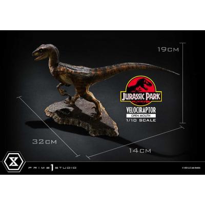 Jurassic Park Estatua Prime Collectibles 1/10 Velociraptor Open Mouth 19 cm