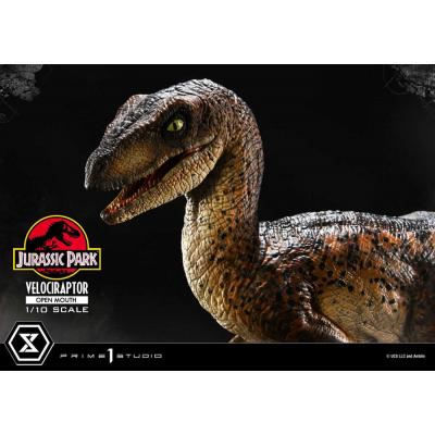 Jurassic Park Estatua Prime Collectibles 1/10 Velociraptor Open Mouth 19 cm