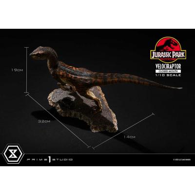 Jurassic Park Estatua Prime Collectibles 1/10 Velociraptor Closed Mouth 19 cm