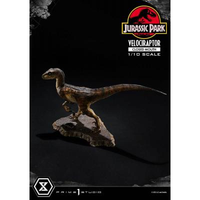 Jurassic Park Estatua Prime Collectibles 1/10 Velociraptor Closed Mouth 19 cm