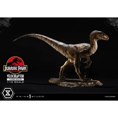 Jurassic Park Estatua Prime Collectibles 1/10 Velociraptor Closed Mouth 19 cm