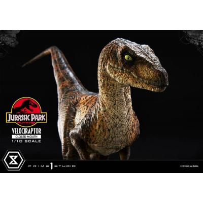Jurassic Park Estatua Prime Collectibles 1/10 Velociraptor Closed Mouth 19 cm