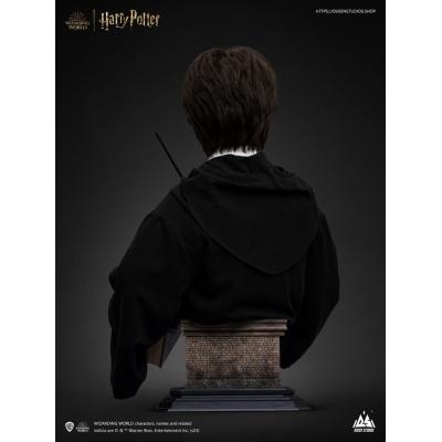 Harry Potter Busto 1/1 Harry 76 cm