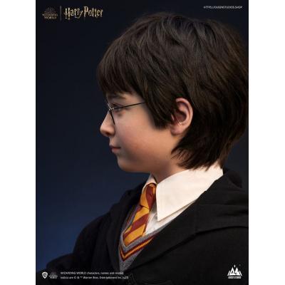 Harry Potter Busto 1/1 Harry 76 cm