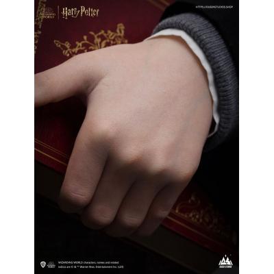 Harry Potter Busto 1/1 Harry 76 cm