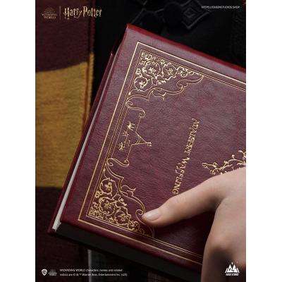 Harry Potter Busto 1/1 Harry 76 cm