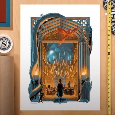 Harry Potter Litografia Harry Potter y la cámara secreta 46 x 61 cm - sin marco