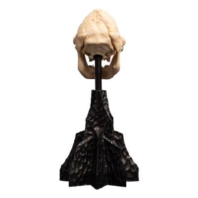El Señor de los Anillos Estatua Skull of Lurtz 14 cm